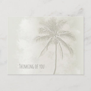 Palm Tree Sand Colour Monotone Photograph Postcard