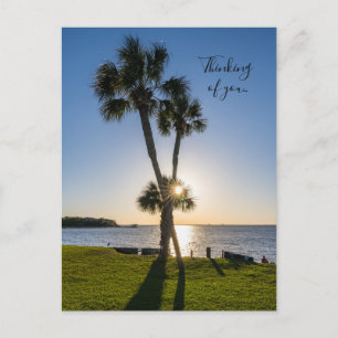 Palm Tree Scissor Silhouette Thinking You Postcard