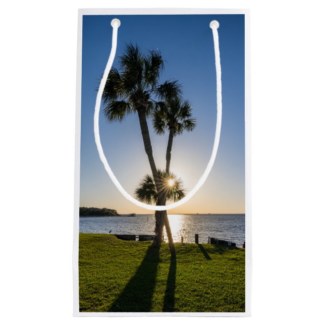 Palm Tree Scissors Silhouette Gift Bag (Front)