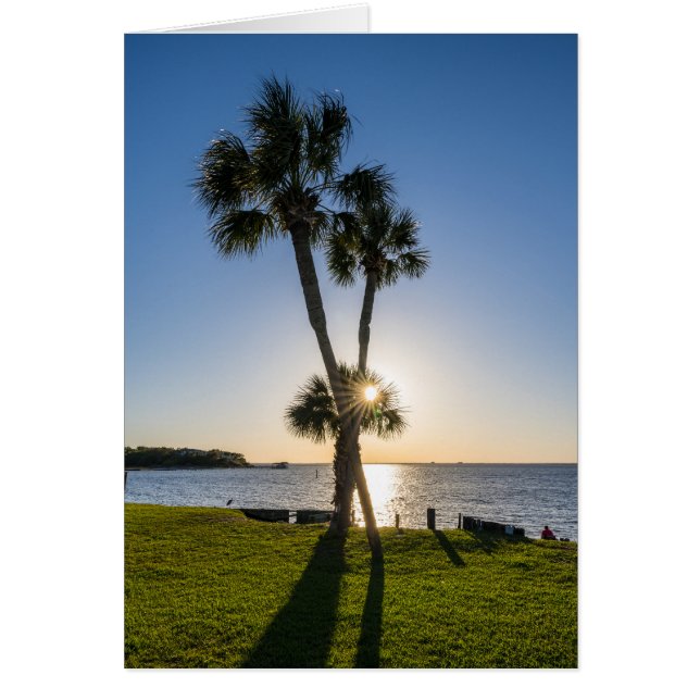 Palm Tree Scissors Silhouette Greeting Card (Front)