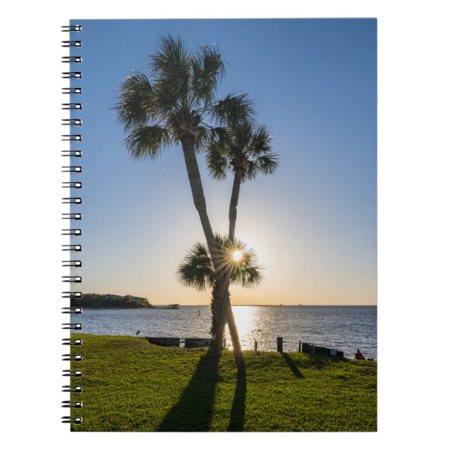 Palm Tree Scissors Silhouette Notebook (Front)