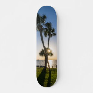 Palm Tree Scissors Silhouette Skateboard