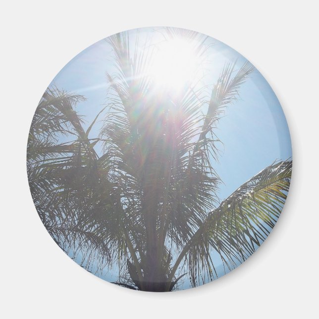 Palm Tree Summer Day Magnet (Front)