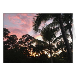 Palm Tree Sunset