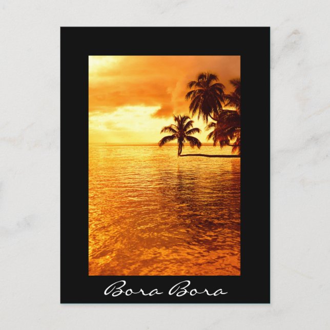 Palm tree sunset black Bora Bora postcard (Front)