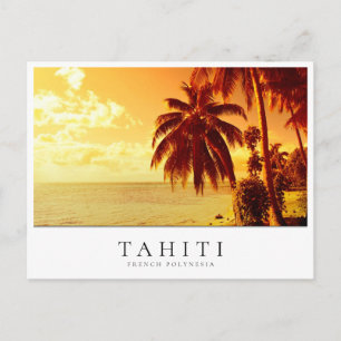 Palm tree sunset in Tahiti, French Polynesia Postcard