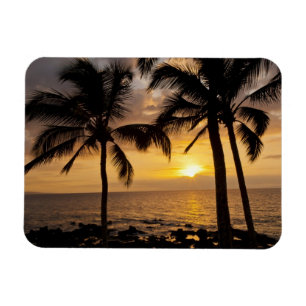 Palm tree sunset magnet