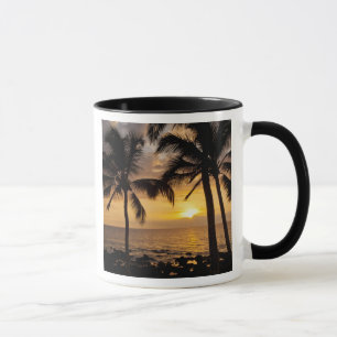 Palm tree sunset mug