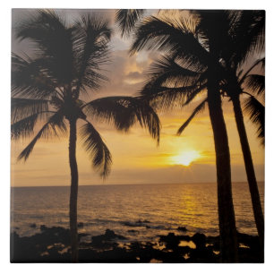 Palm tree sunset tile