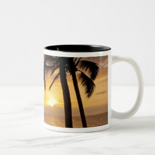 Palm tree sunset Two-Tone coffee mug