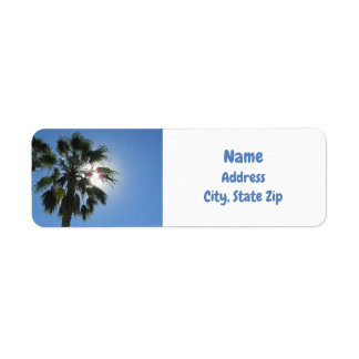 Palm Tree Tropical Sunshine Island Paradise