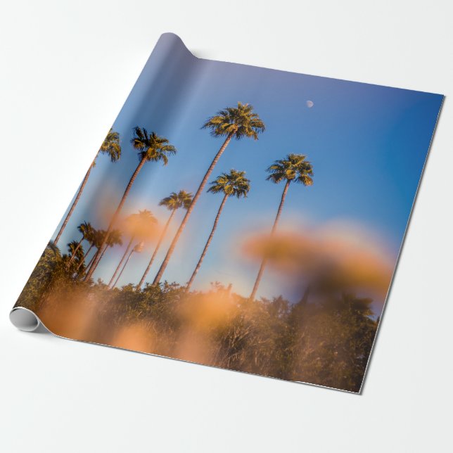 Palm tree under blue sky wrapping paper (Unrolled)