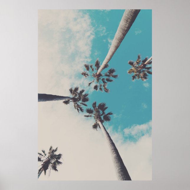 Palm Trees against a Turquoise Sky Photo Poster (Front)