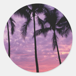 Palm Trees Against Sky Classic Round Sticker