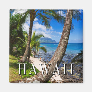 Palm Trees Along Hideaways Beach Magnet