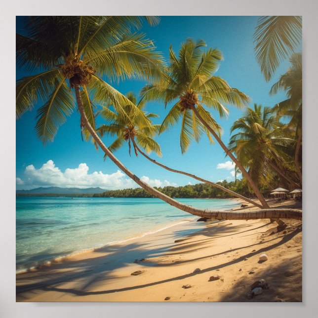 Palm Trees Along the Shore Poster (Front)