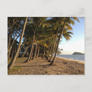 Palm trees and beach postcard