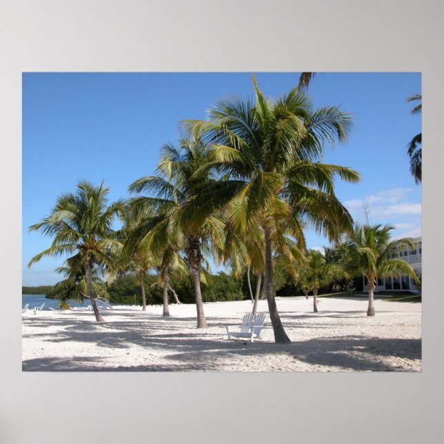 Palm Trees and Beach Print (Front)