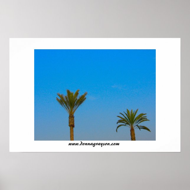 Palm Trees and Blue Sky Poster (Front)