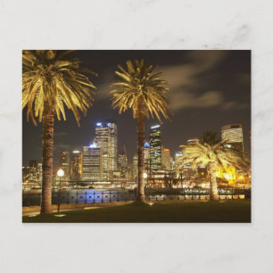 Palm Trees and CBD at Night, Sydney, New South Postcard