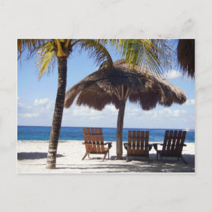 Palm Trees and chairs Mexico Beach Postcard