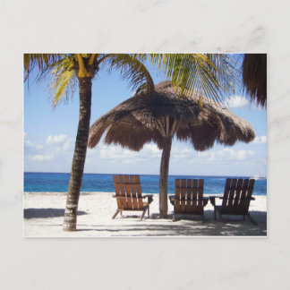 Palm Trees and chairs Mexico Beach Postcard
