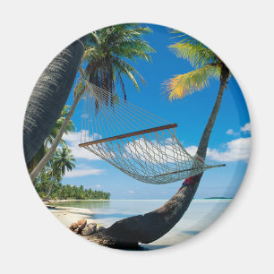 Palm Trees and Hammock Magnet