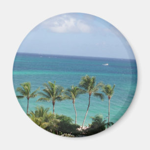 Palm trees and Ocean magnet
