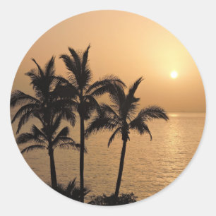 Palm Trees and Romantic Sunset Classic Round Sticker