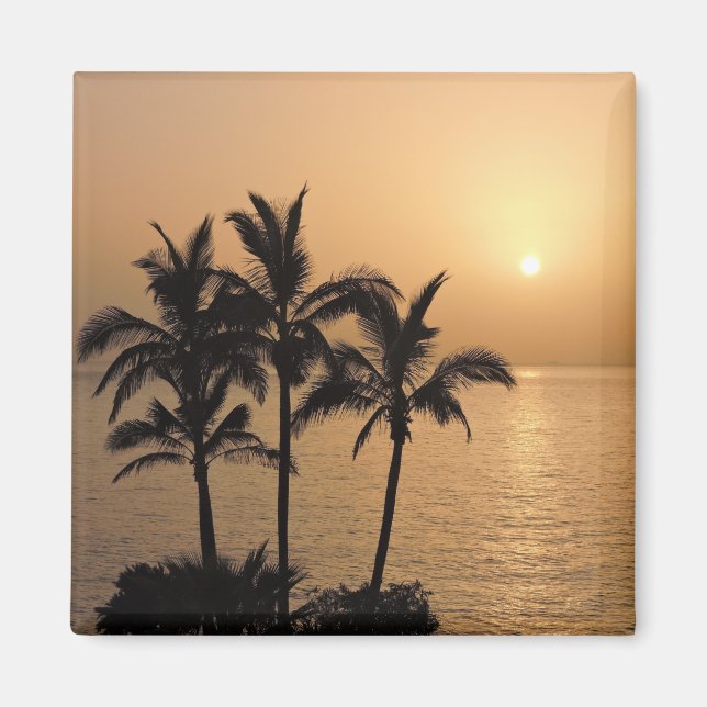 Palm Trees and Romantic Sunset Magnet (Front)
