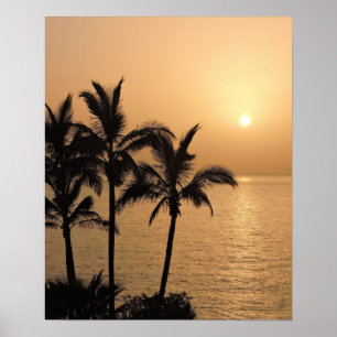 Palm Trees and Romantic Sunset Poster