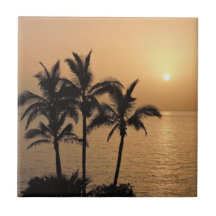 Palm Trees and Romantic Sunset Tile