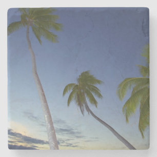 Palm trees and sunset, Plantation Island Resort Stone Coaster