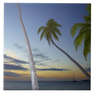 Palm trees and sunset, Plantation Island Resort Tile