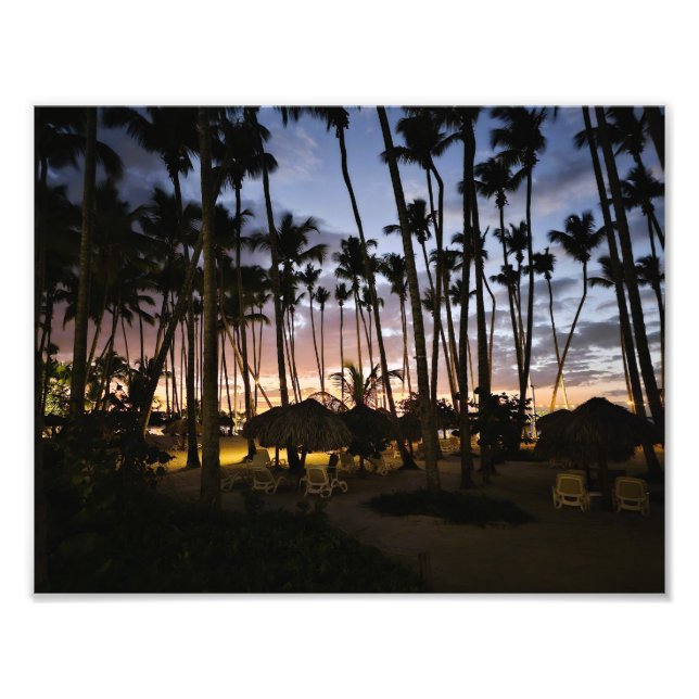 Palm trees and sunset print (Front)