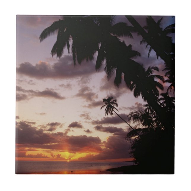 Palm Trees at sea Tile (Front)