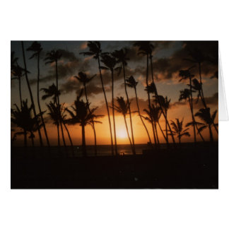 Palm Trees at Sunset