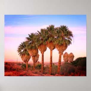 Palm Trees at Sunset Poster