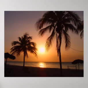 Palm trees at sunset poster