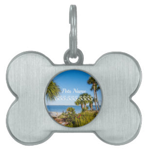 Palm Trees Bayside Morning Pet Tag