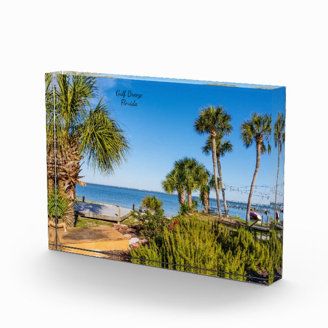 Palm Trees Bayside Morning Photo Block (Right)