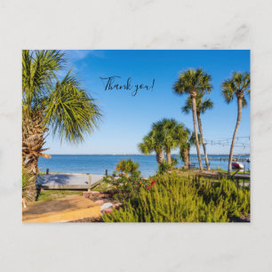 Palm Trees Bayside Morning Thank You Postcard