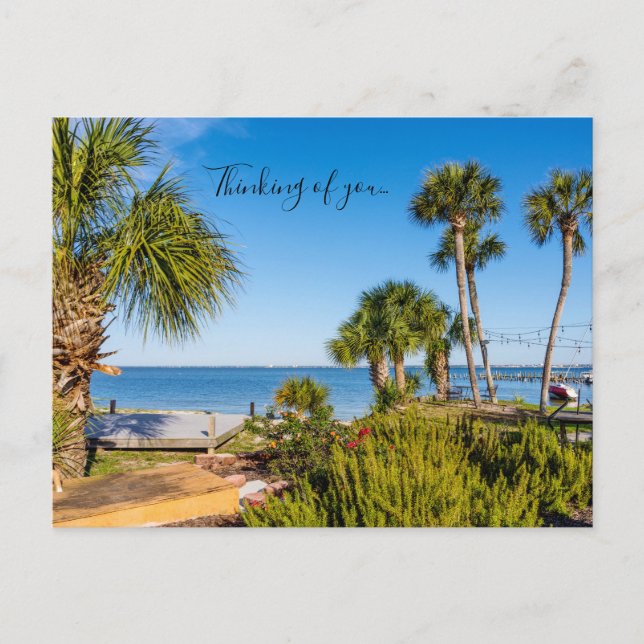 Palm Trees Bayside Morning Thinking Of U Postcard (Front)