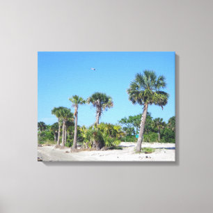 Palm Trees canvas print