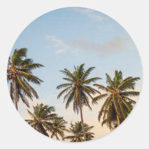 Palm Trees Classic Round Sticker