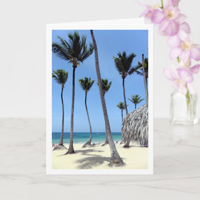Palm Trees, Dominican Republic, Landscape Card (Orchid)