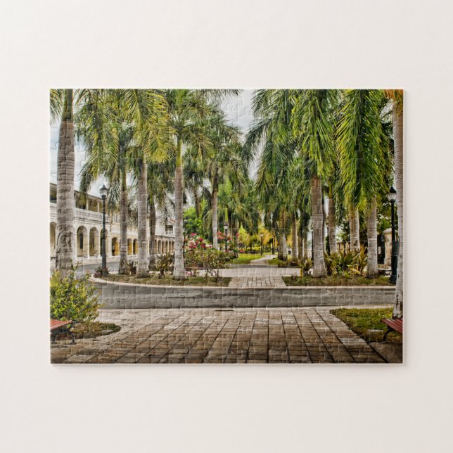 Palm Trees Historic Frederiksted US Virgin Islands Jigsaw Puzzle (Horizontal)