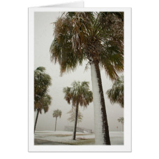 Palm Trees in a snow storm