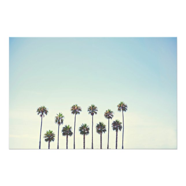 Palm Trees in California Photo Print (Front)