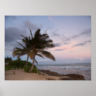 Palm Trees in Paradise  Poster